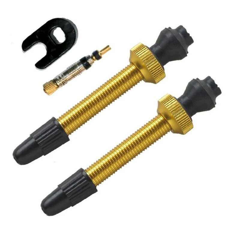 Barbieri, Ventil Alu Tubelessventil Für TL-Ready Umrüstung SV, 2er Pack, Gold 1 Barbieri, Ventil Alu Tubelessventil Für TL-Ready Umrüstung SV, 2er Pack, Gold