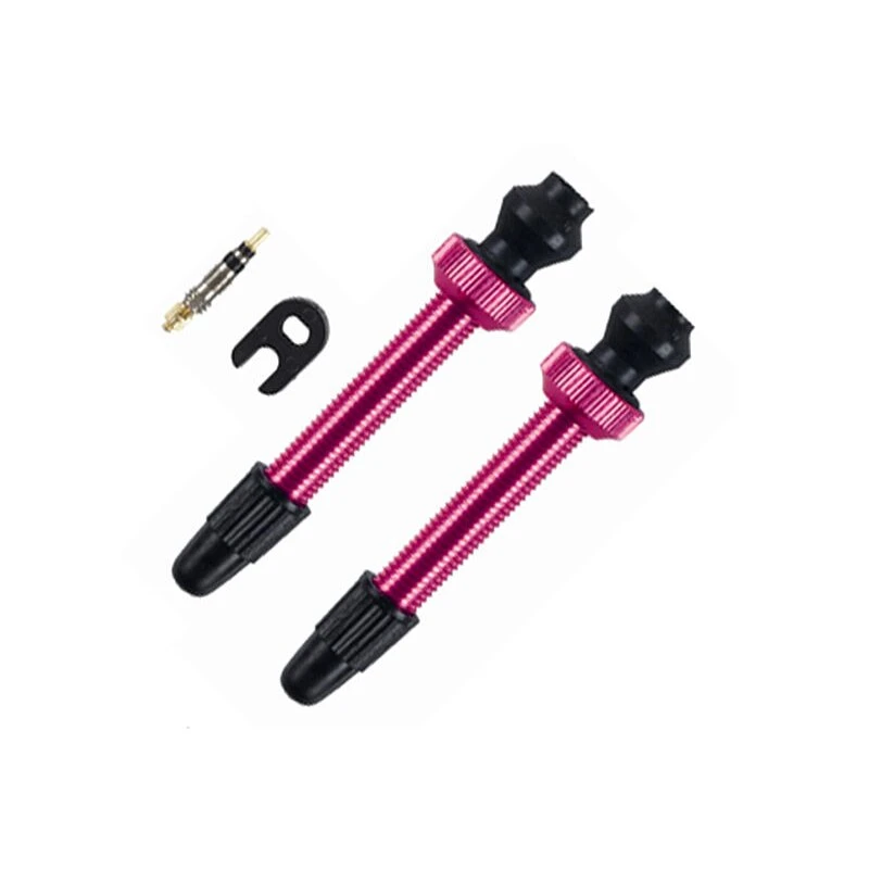 Barbieri, Ventil Alu Tubelessventil SV 45mm, Pink 1 Barbieri, Ventil Alu Tubelessventil SV 45mm, Pink