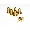 BBP, Titanschraube, TI6AL4V, M5x10 Torx 25, 1,15g, Gold